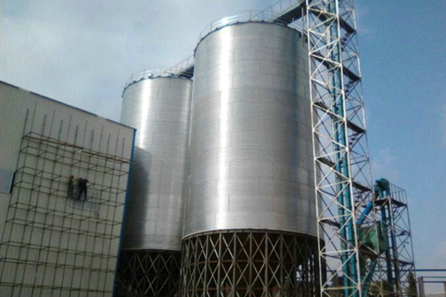 稻谷储存仓 稻谷储存仓